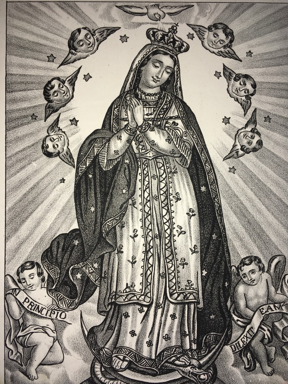 Antica Stampa Popolare Devozionale: Madonna Immacolata, Napoli, Litografia G. Scafa, XIX Secolo