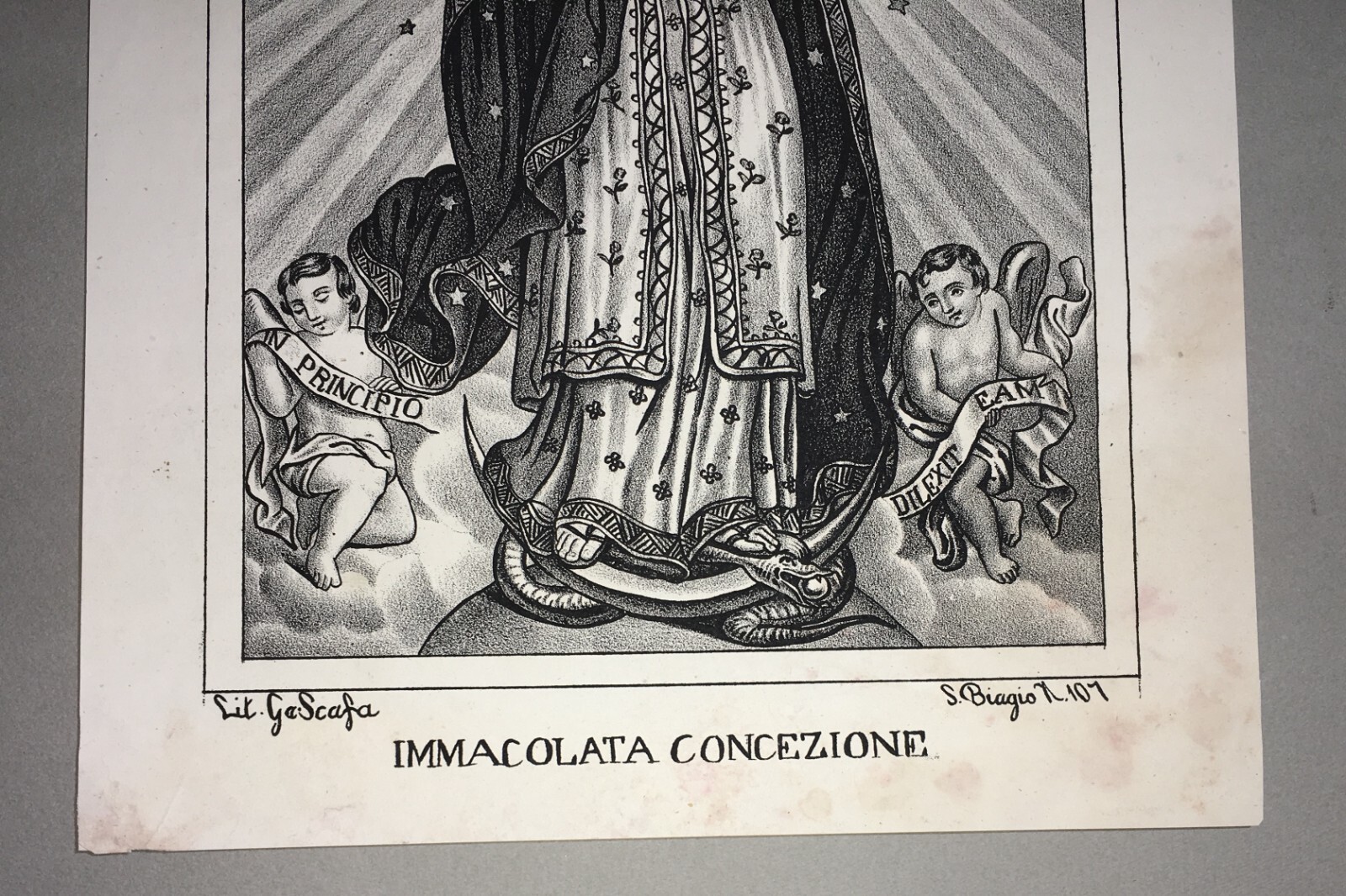 Antica Stampa Popolare Devozionale: Madonna Immacolata, Napoli, Litografia G. Scafa, XIX Secolo