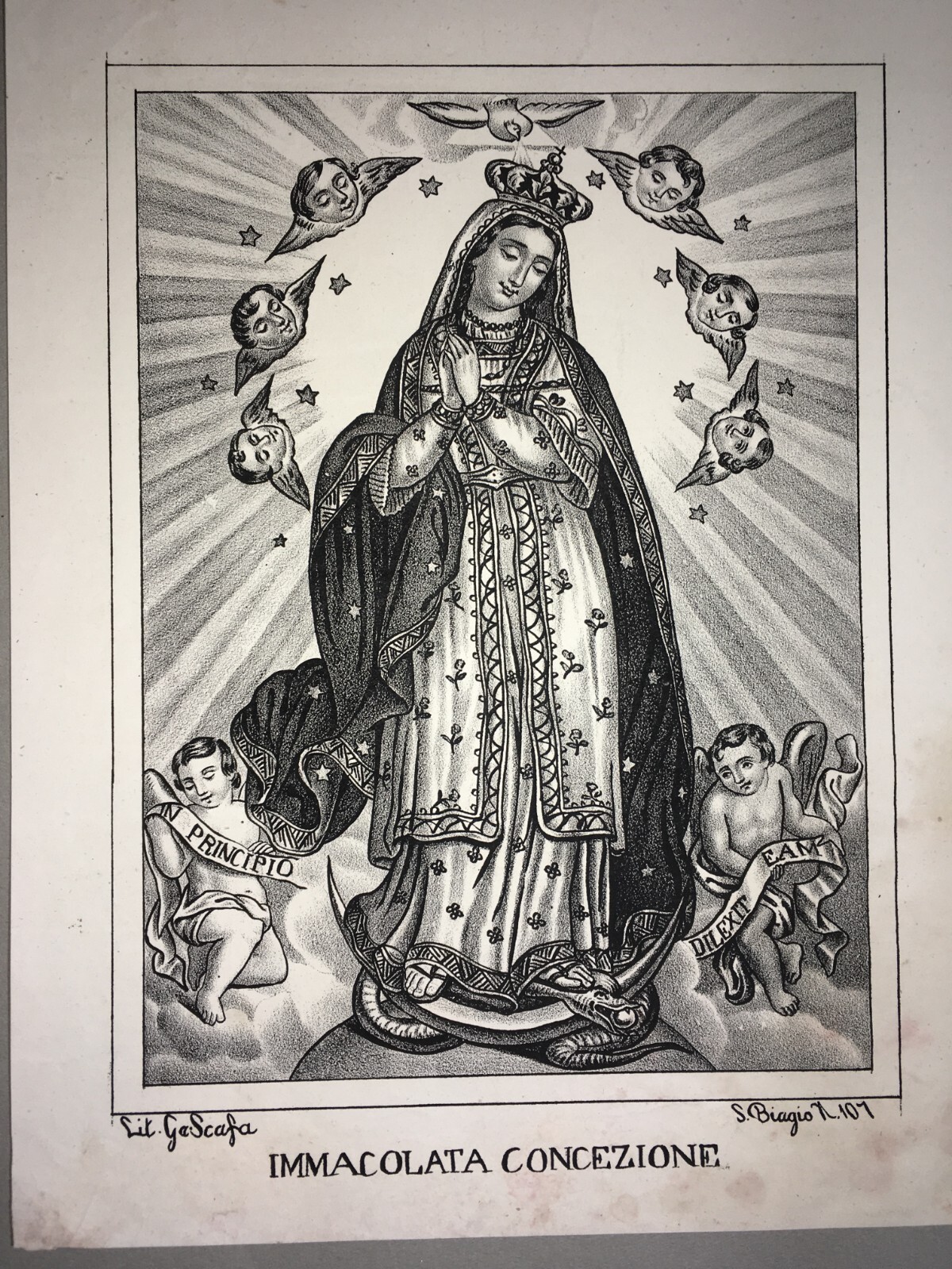 Antica Stampa Popolare Devozionale: Madonna Immacolata, Napoli, Litografia G. Scafa, XIX Secolo