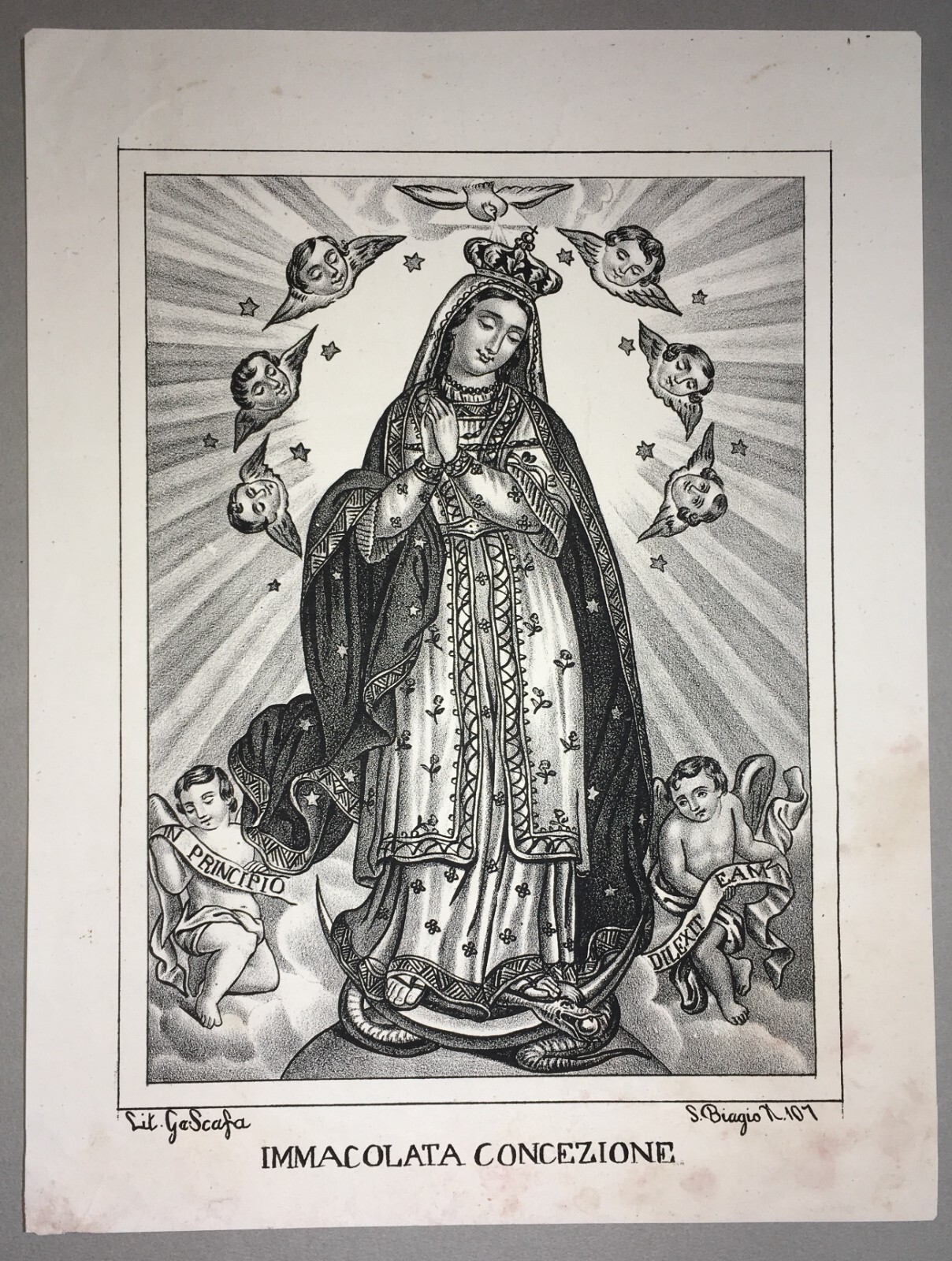 Antica Stampa Popolare Devozionale: Madonna Immacolata, Napoli, Litografia G. Scafa, XIX Secolo