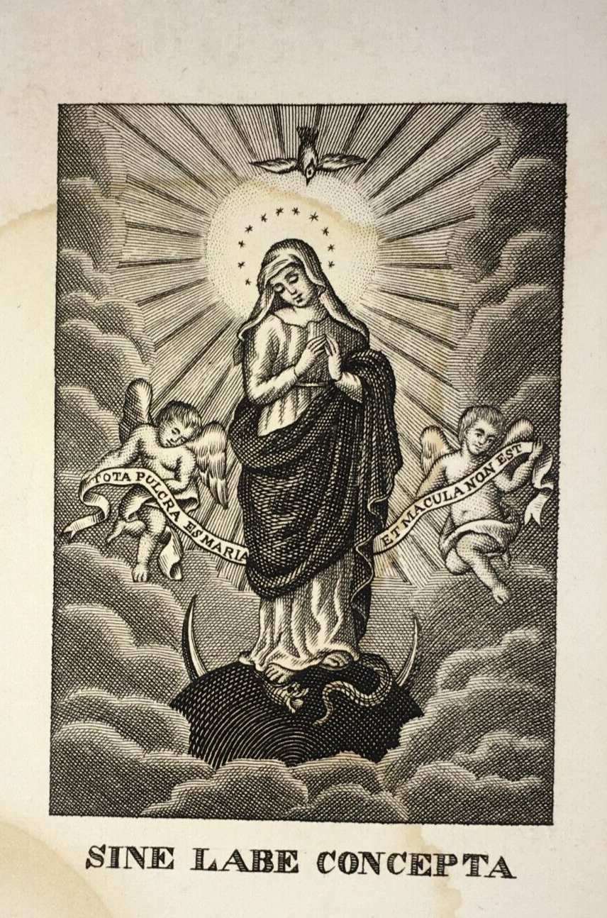 Antica Stampa Popolare Devozionale: Madonna Immacolata, Incisione Santino, XIX Secolo