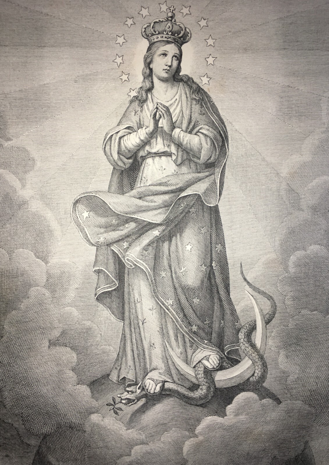 Antica Stampa Popolare Devozionale: Madonna Immacolata, Incisore Proja E Spellani