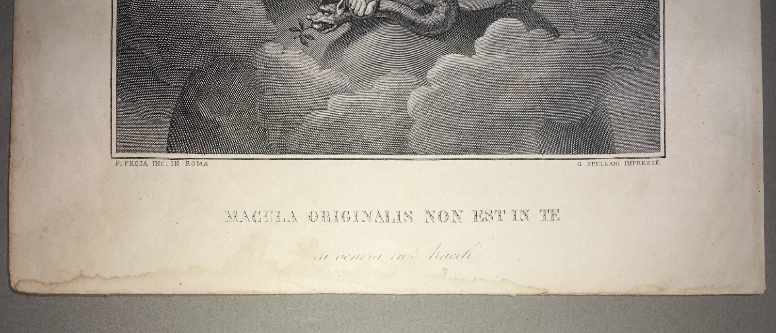 Antica Stampa Popolare Devozionale: Madonna Immacolata, Incisore Proja E Spellani