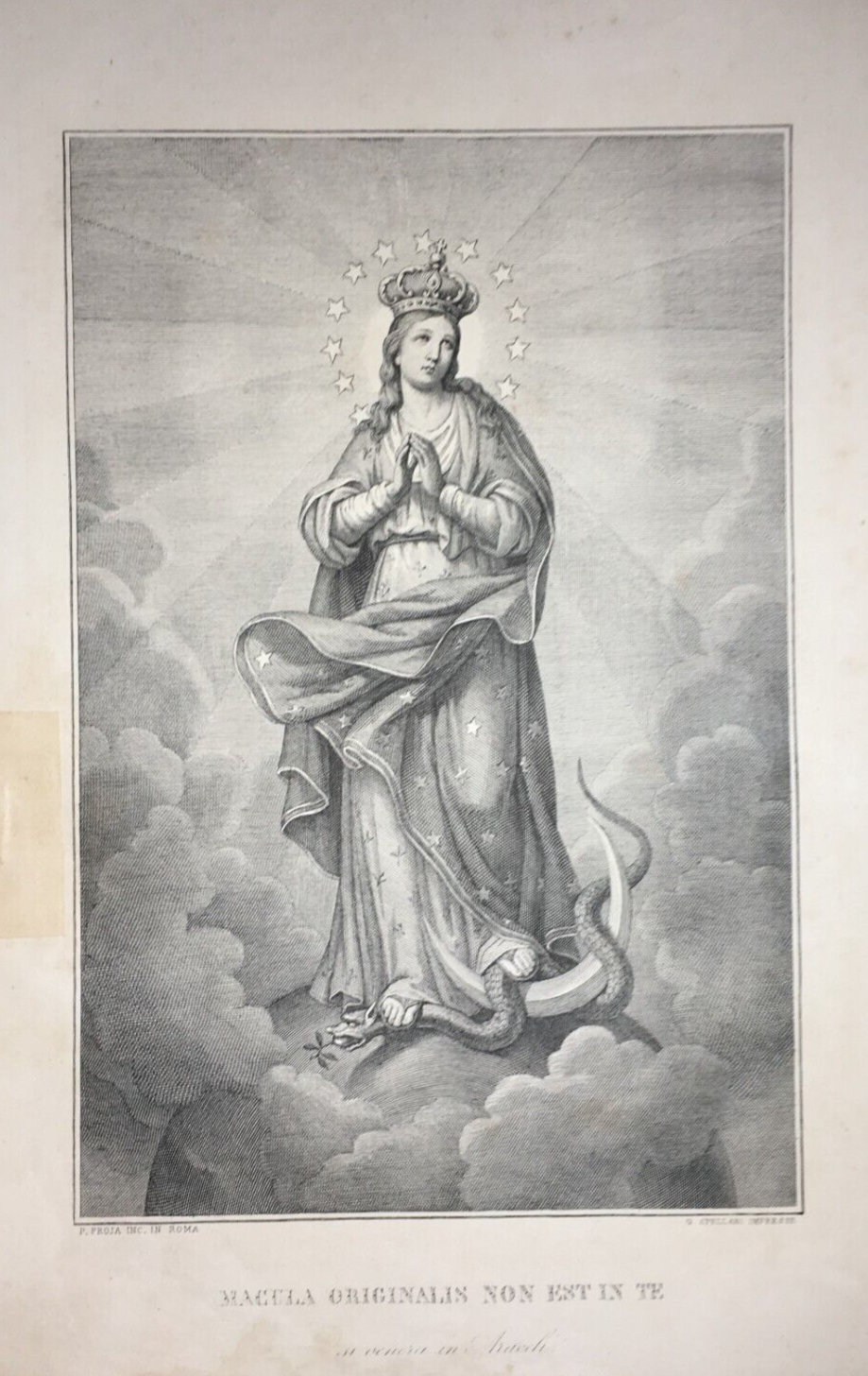 Antica Stampa Popolare Devozionale: Madonna Immacolata, Incisore Proja E Spellani