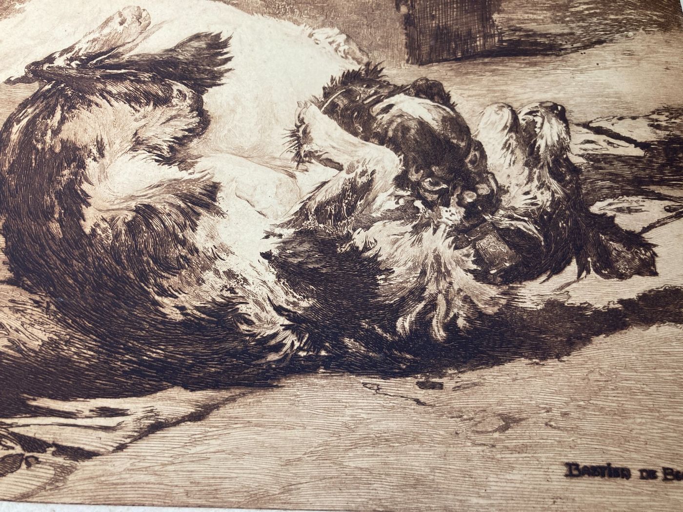 Charles Herrmann Léon   Bastien De Beaupré: Grande Incisione "Lotta Tra Cani"