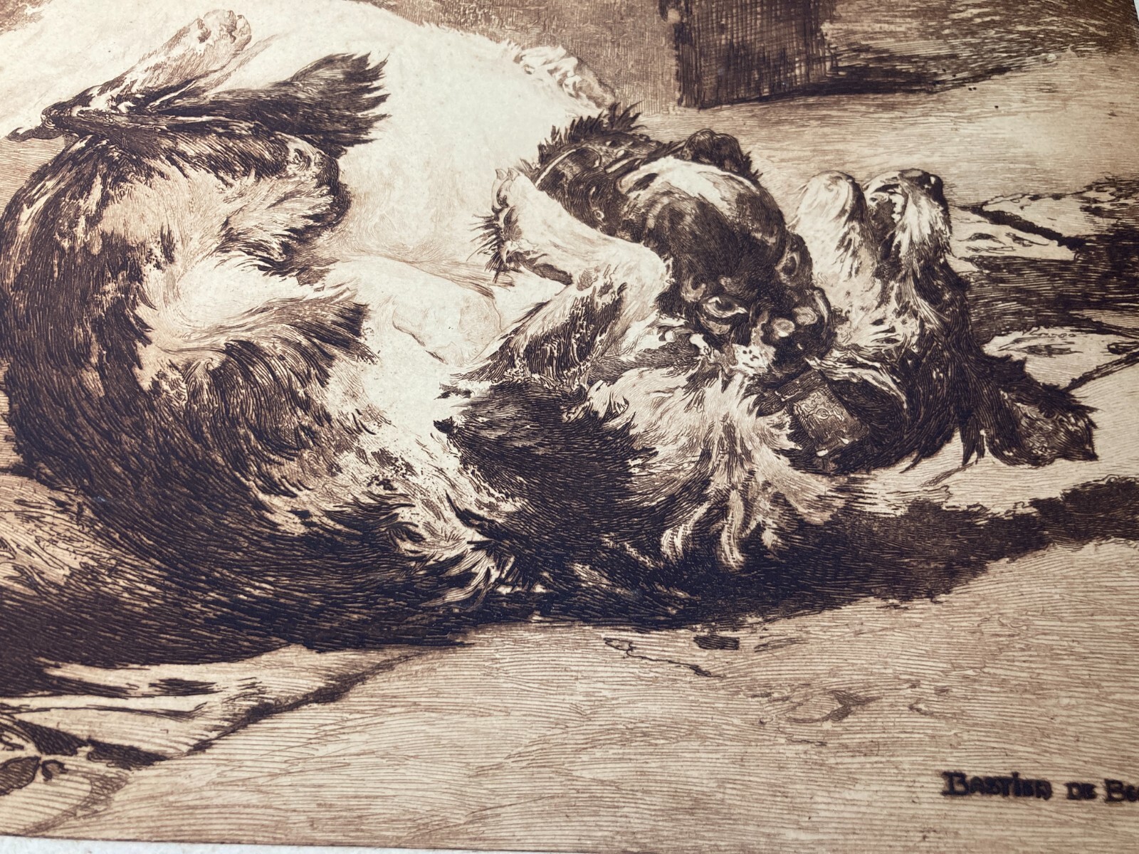 Charles Herrmann Léon   Bastien De Beaupré: Grande Incisione "Lotta Tra Cani"