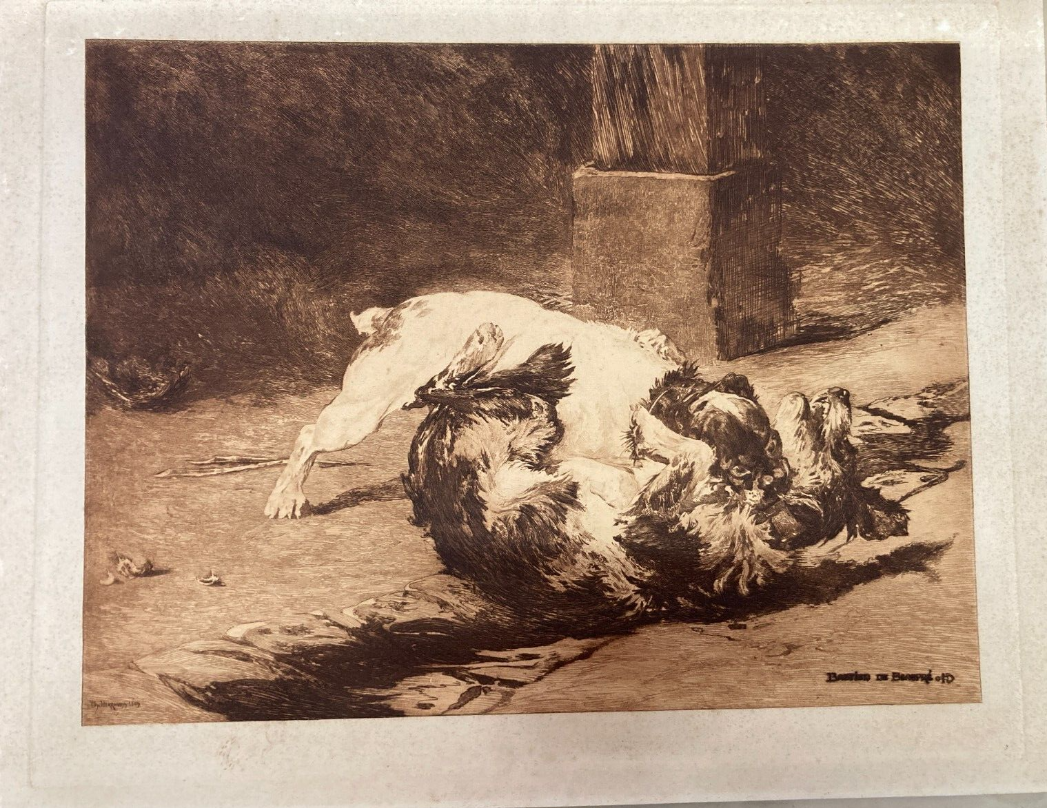 Charles Herrmann Léon   Bastien De Beaupré: Grande Incisione "Lotta Tra Cani"