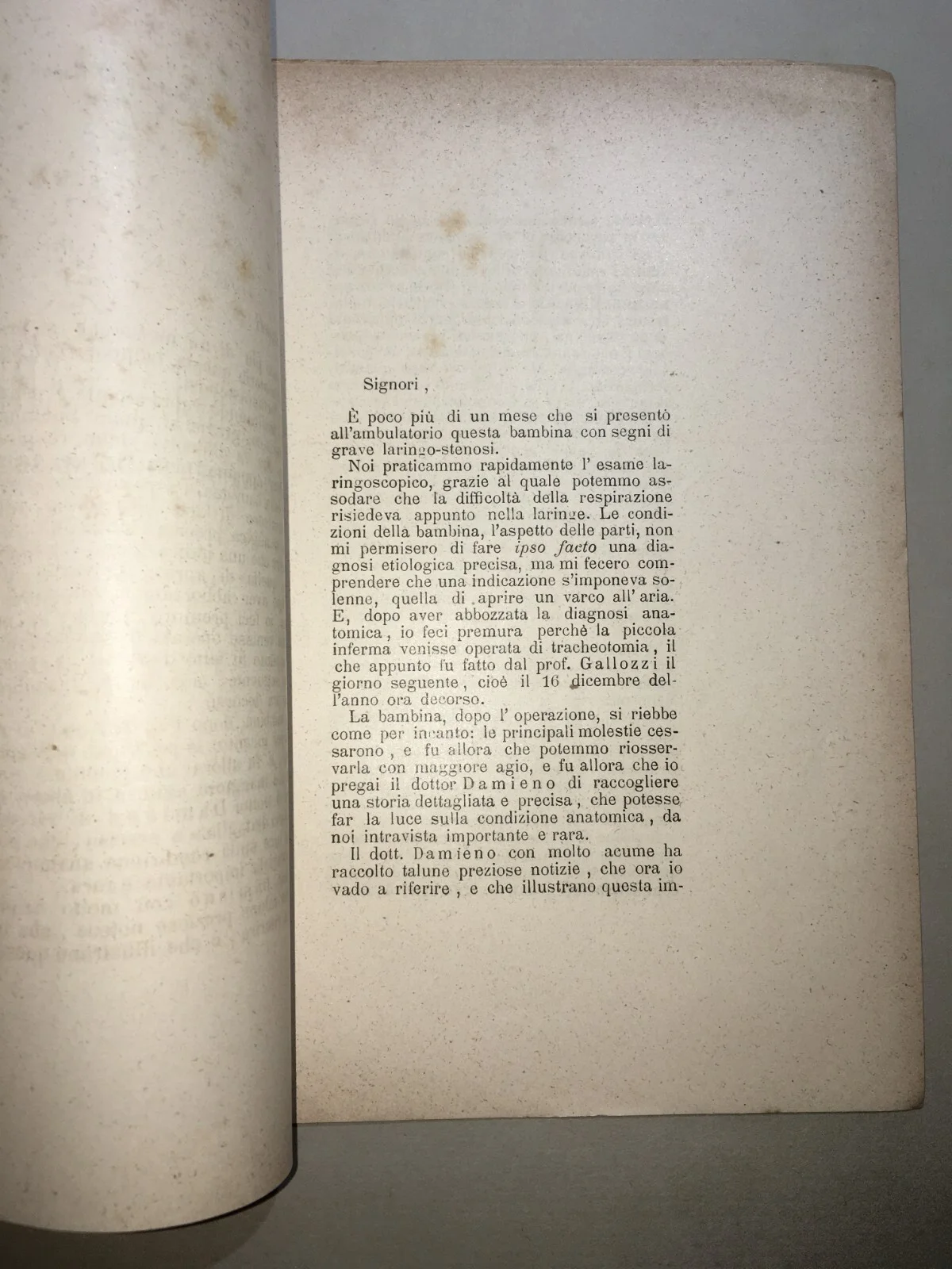 Medicine, Otorhinolaryngology: Lupus of the Larynx. Massei, Corbi. Naples, 1890