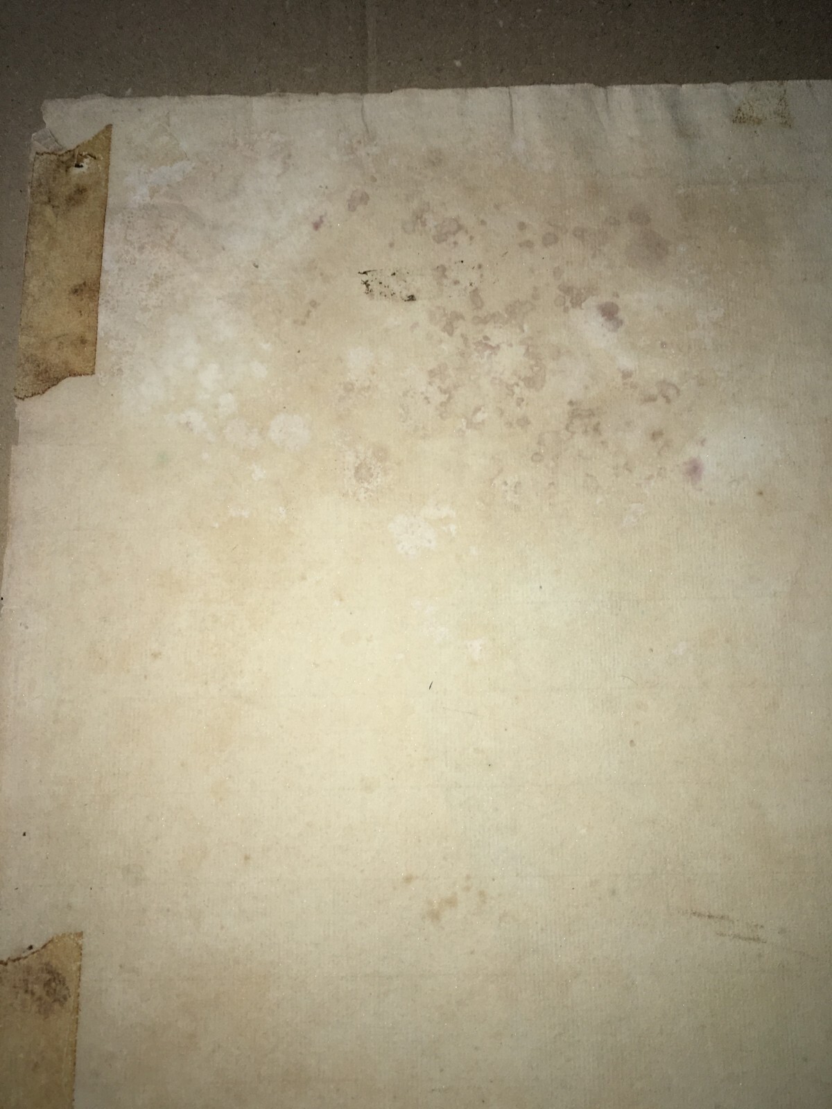 Ritratto Di Sofocle   Antico Grande Disegno A Tecnica Mista