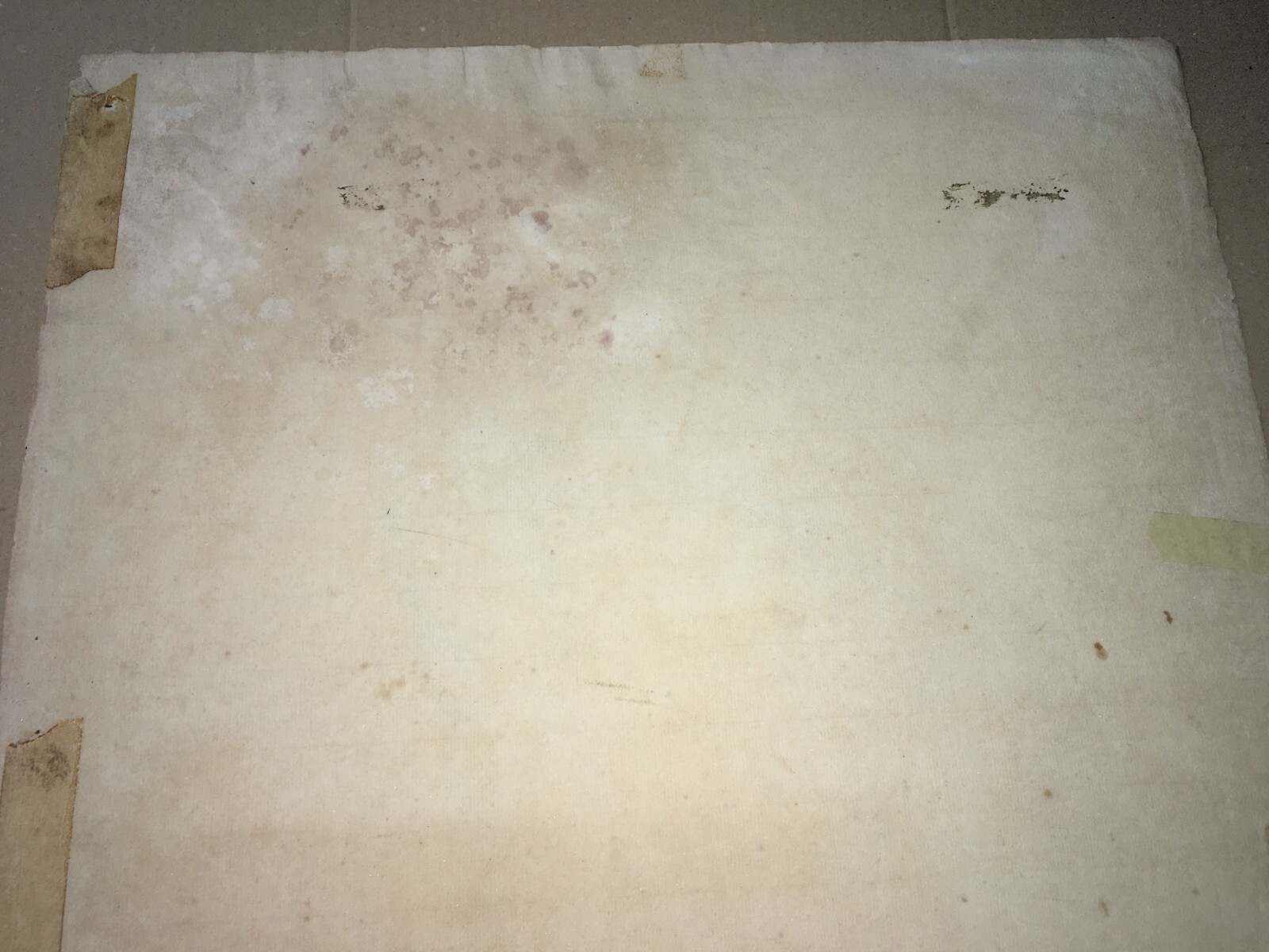 Ritratto Di Sofocle   Antico Grande Disegno A Tecnica Mista