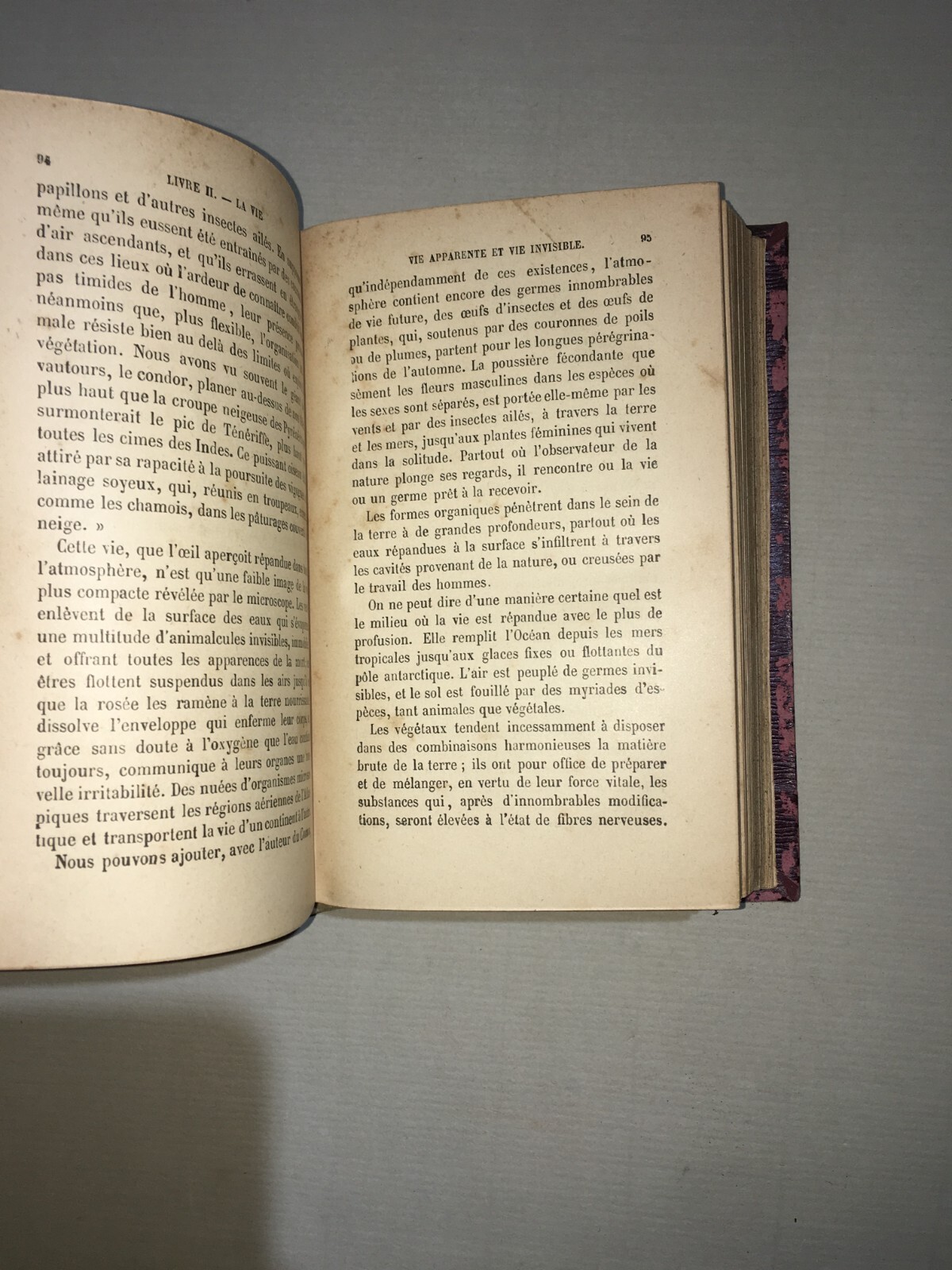 Scienza, Natura, Teologia, Filosofia, Metafisica: Camille Flammarion, Antica Edizione Dell'Ottocento