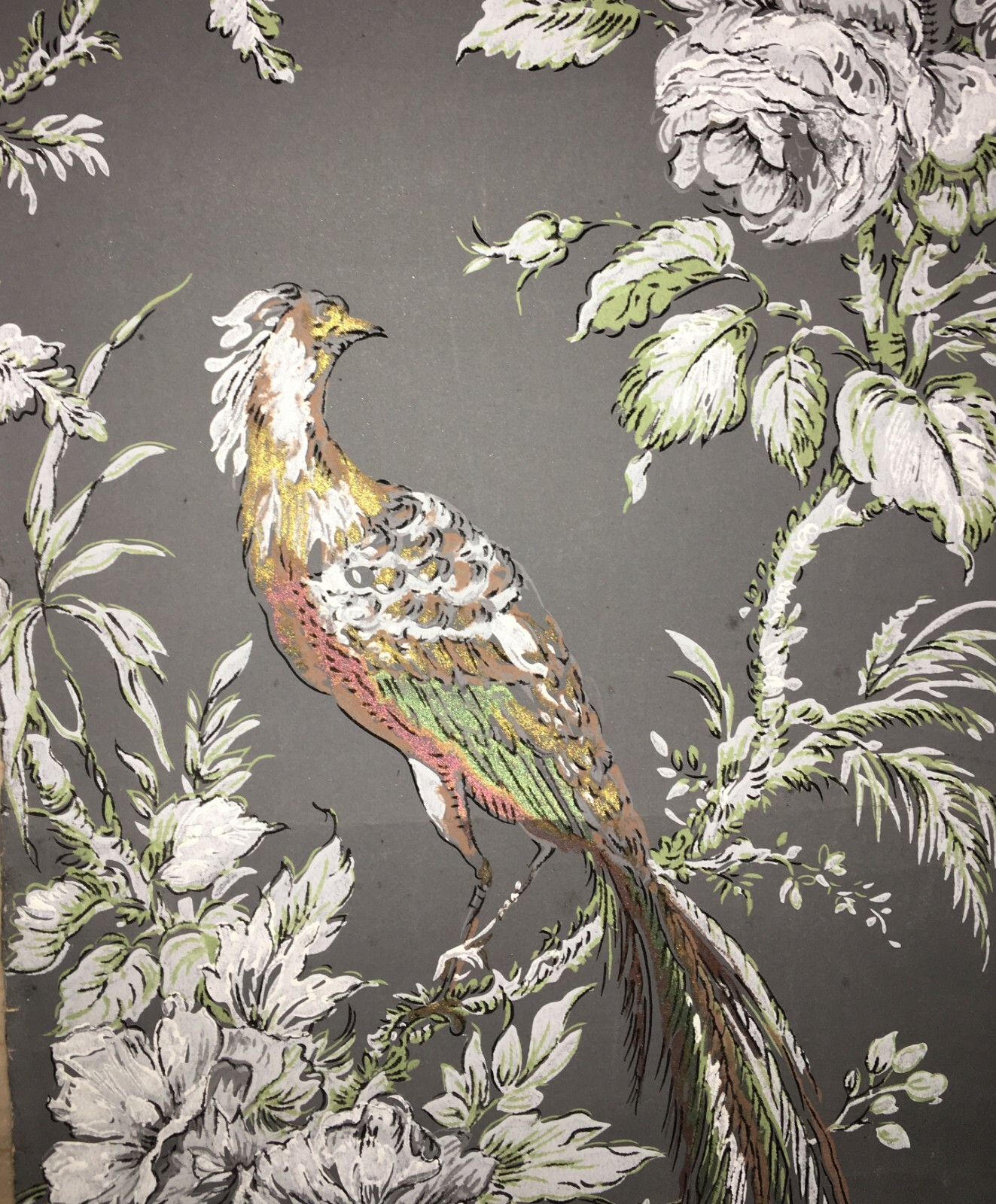 Arte E Decorazione: Carta Da Parato Pochoir Con Uccelli E Pappagalli