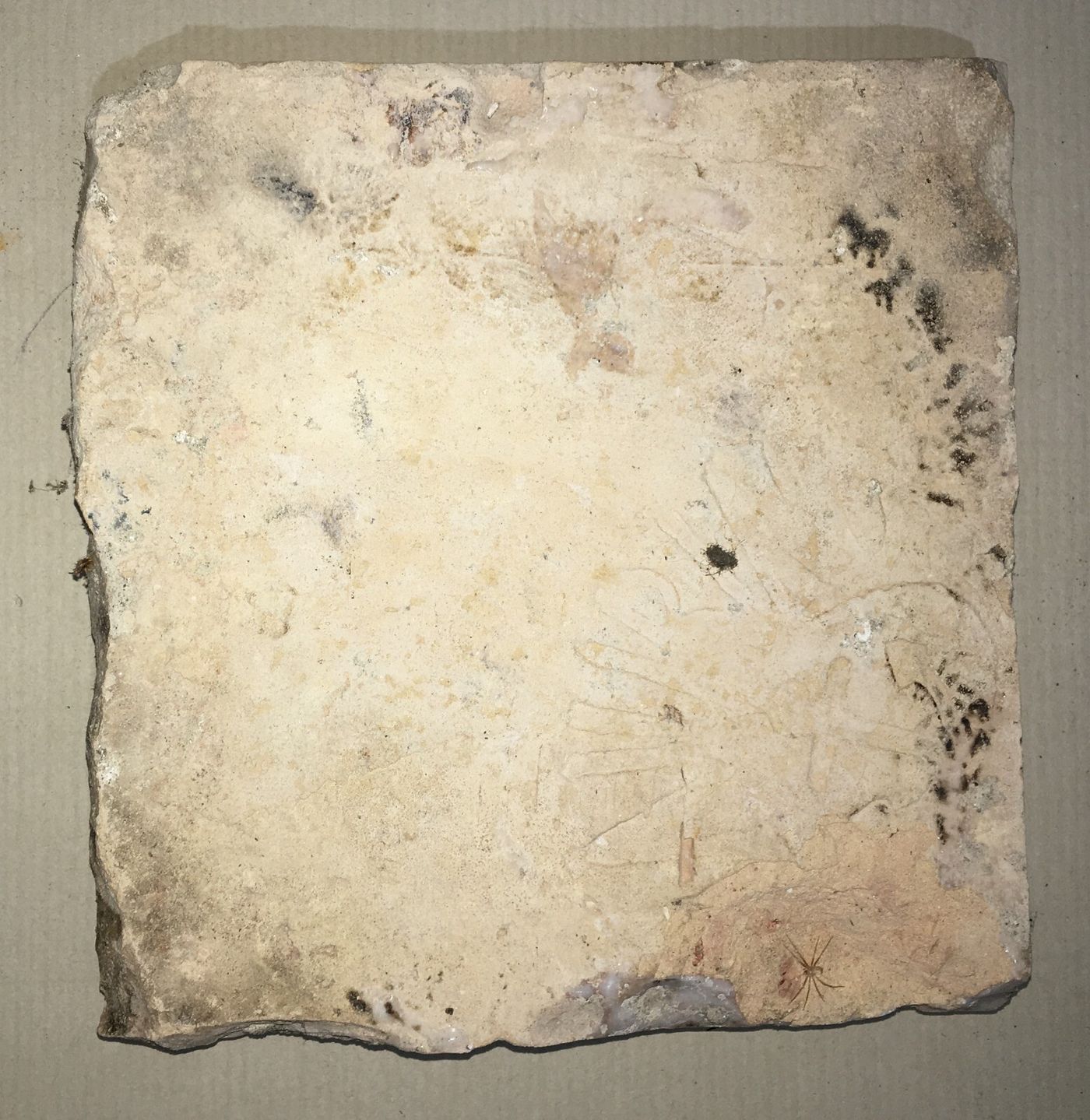 Ceramiche Da Collezione: Antiche Mattonelle Riggiole Napoletane Maurino Esagonali