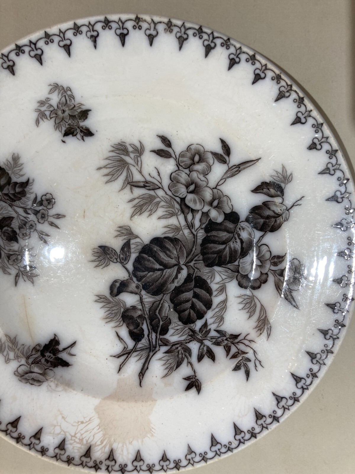 Artistica Ceramica Floreale: Piatto Antico Fratelli Finocchi, Roma (Sarreguemines)