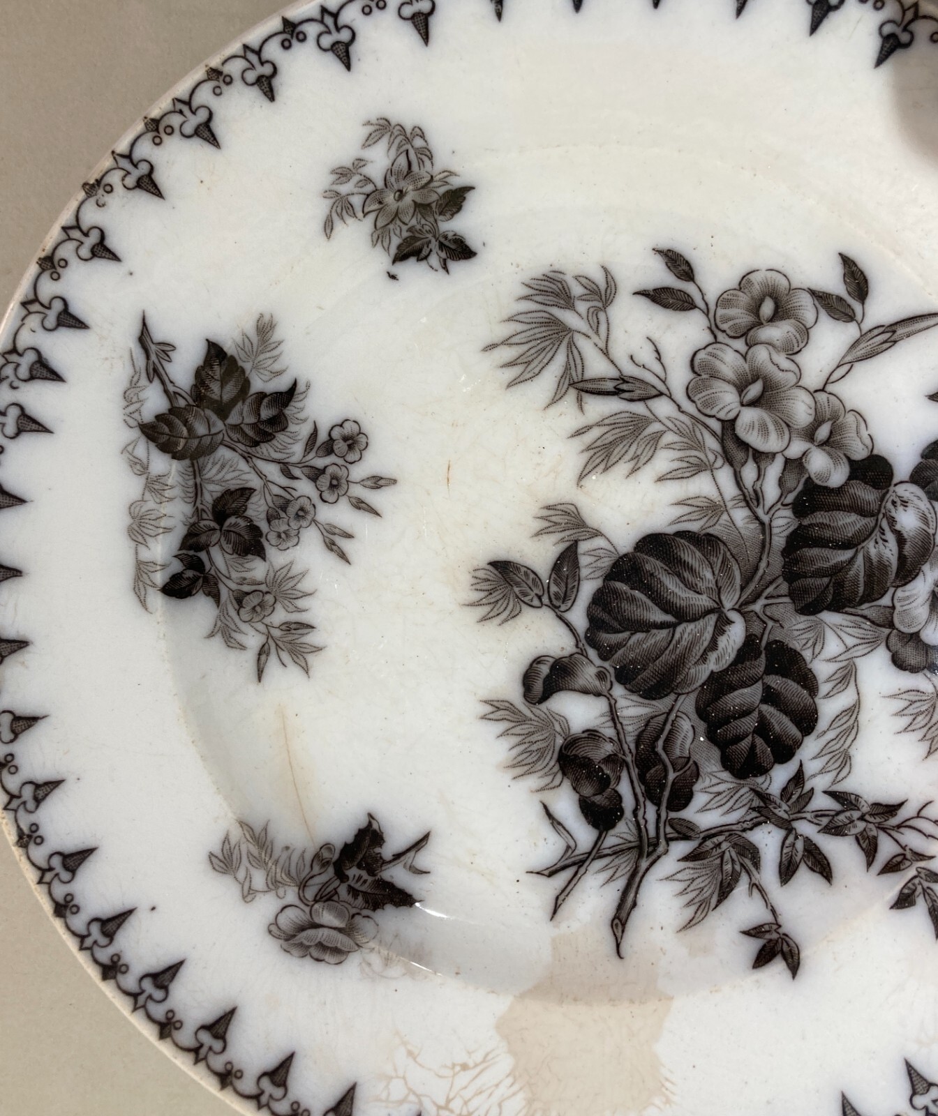 Artistica Ceramica Floreale: Piatto Antico Fratelli Finocchi, Roma (Sarreguemines)
