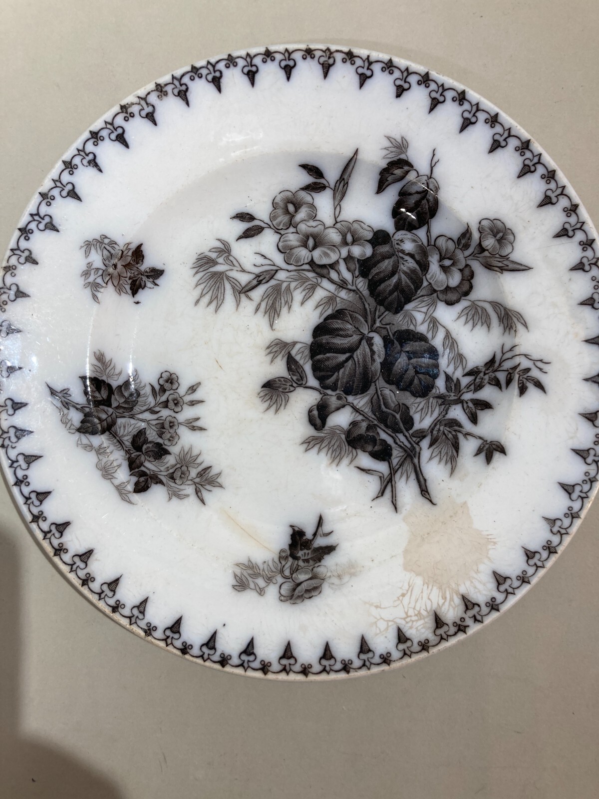 Artistica Ceramica Floreale: Piatto Antico Fratelli Finocchi, Roma (Sarreguemines)