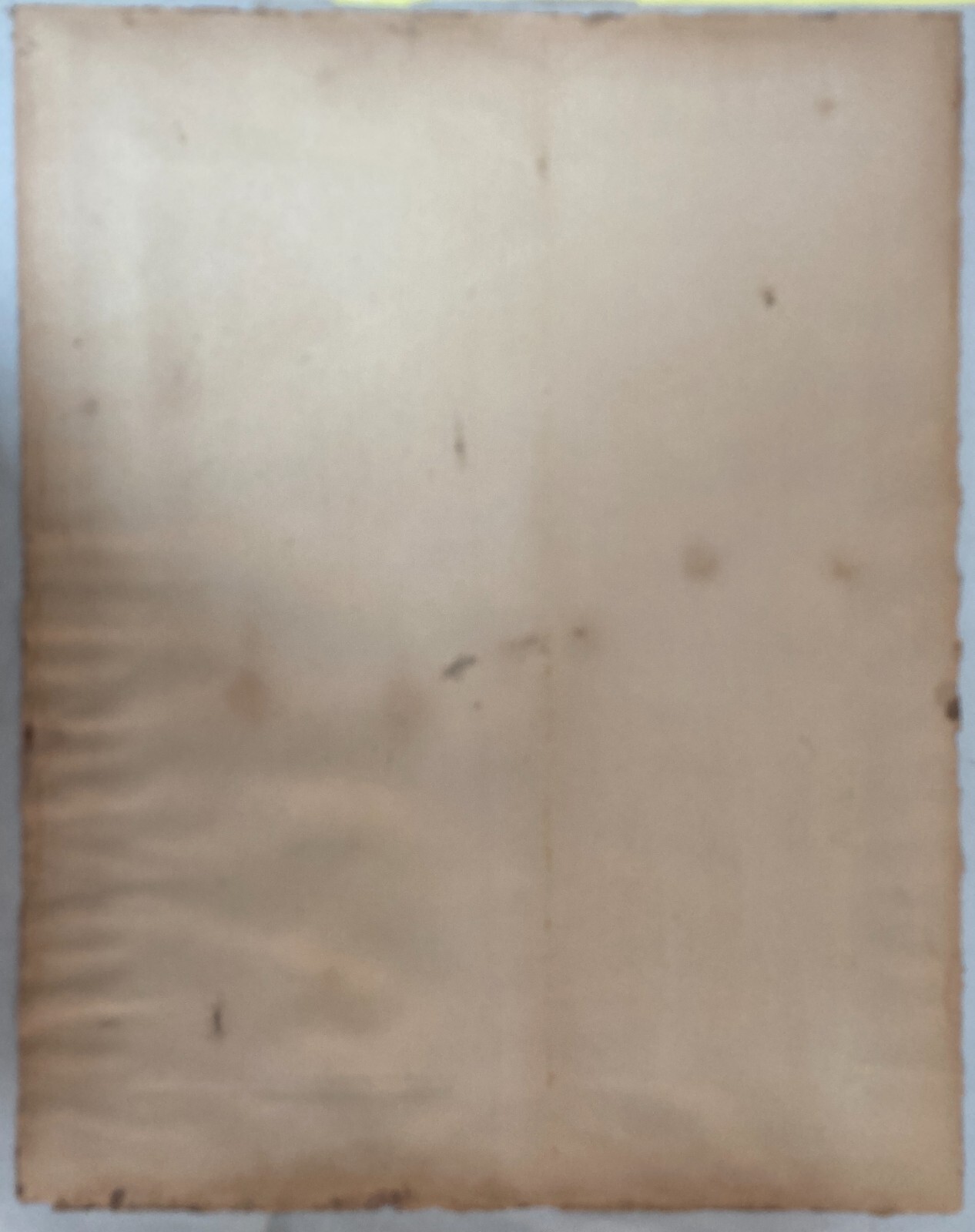Antica Stampa Devozionale San Luigi Gonzaga Simboli Iconografici
