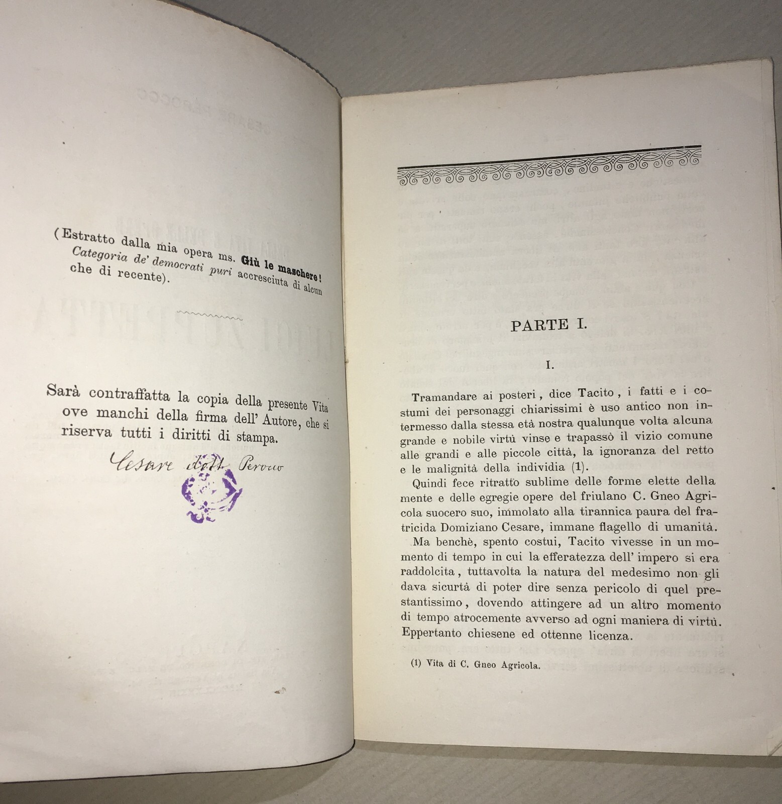Risorgimento, Politica, Garibaldi, Puglia: Luigi Zuppetta (Perocco)   Antica Edizione