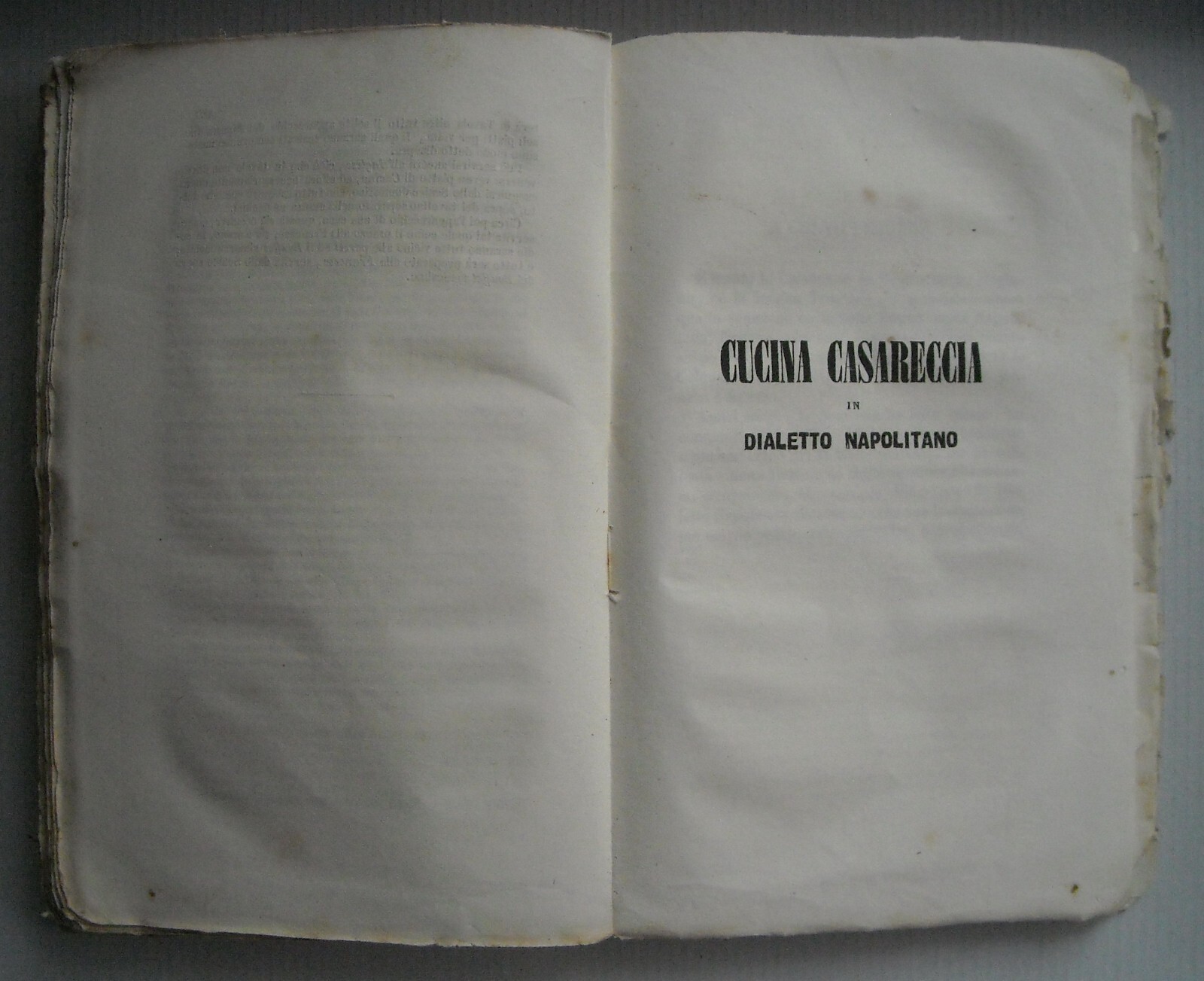 Cucina Teorico Pratica, Cucina Casareccia Napoletana, Ippolito Cavalcanti, 1859