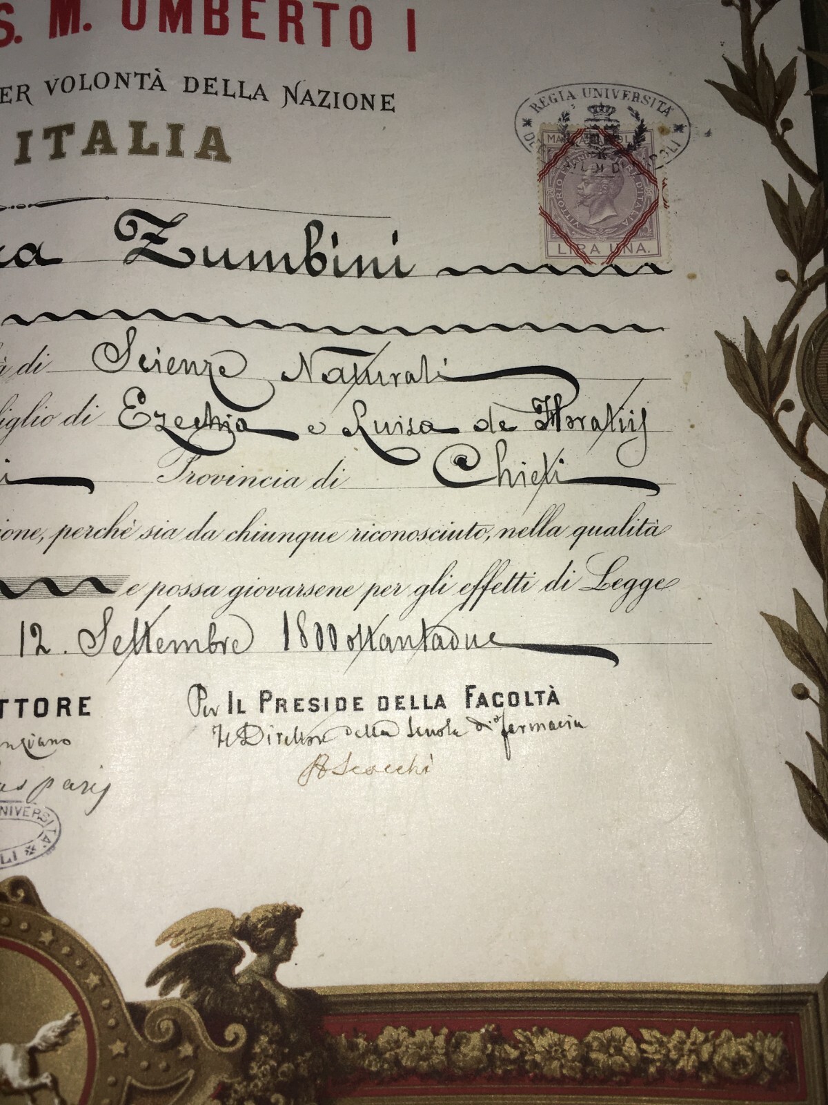 Diploma Di Laurea In Farmacia, Università Di Napoli, 1882