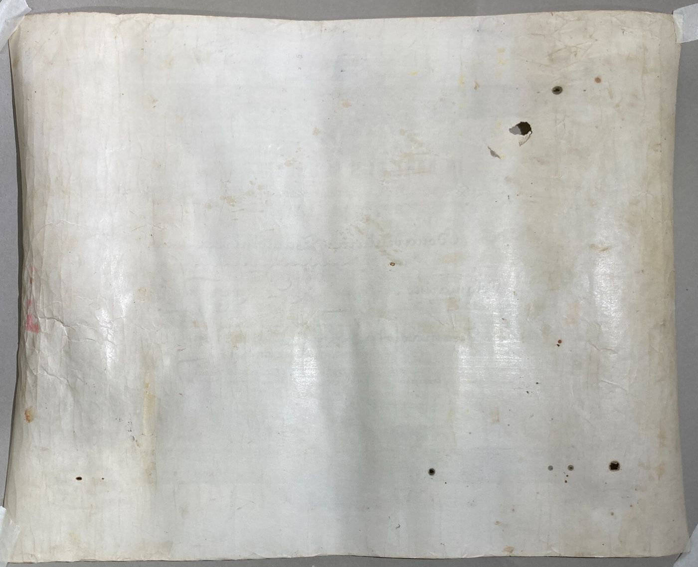 Diploma Di Laurea In Farmacia, Università Di Napoli, 1882