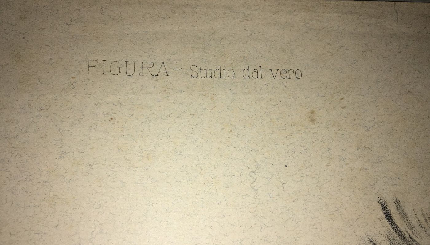 Organi Di Senso, Udito, Orecchio: Studi Artistici. Antica Stampa Treves