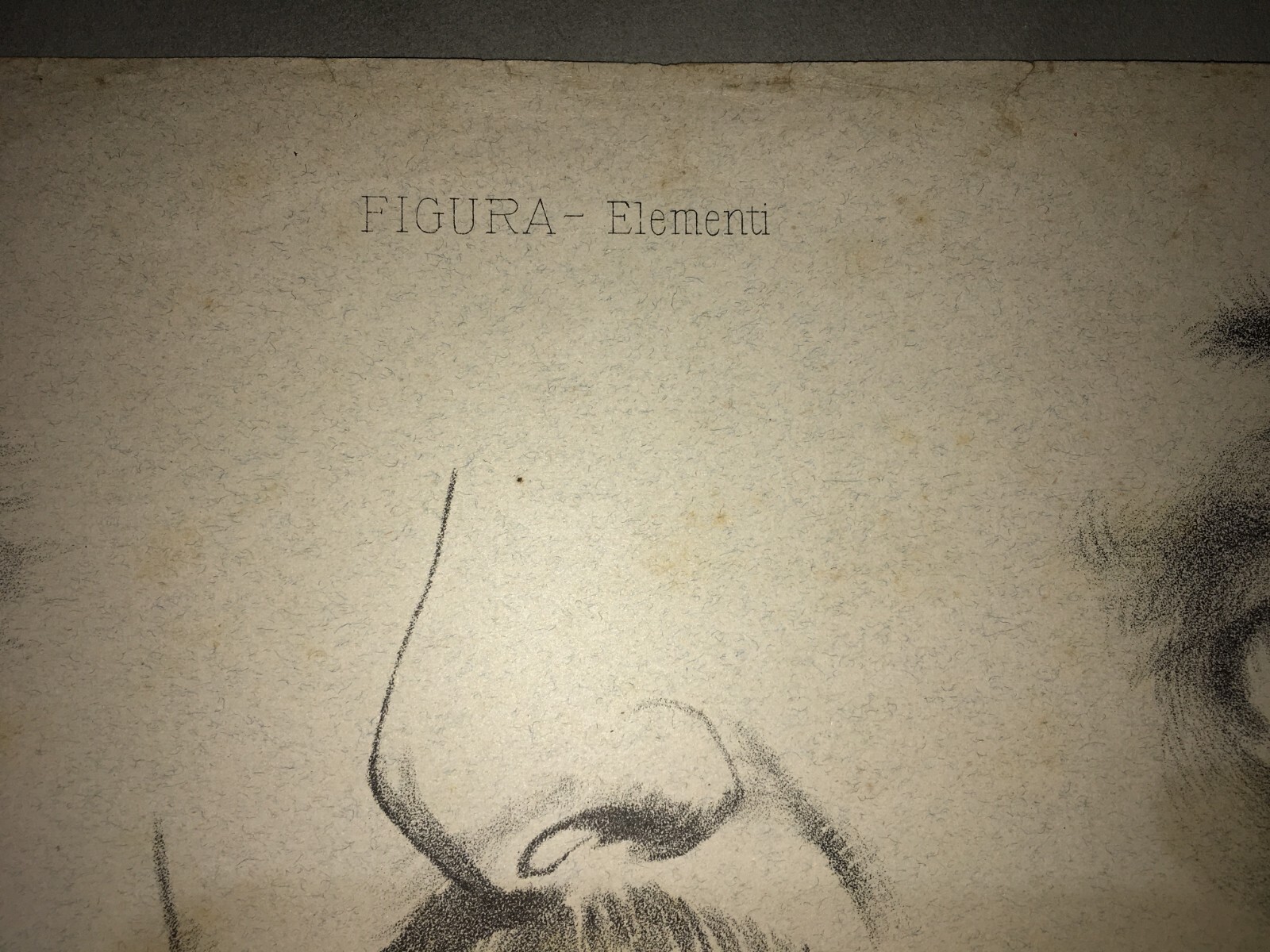 Organi Di Senso: Occhio, Vista, Naso, Odorato. Stampa Artistica Treves