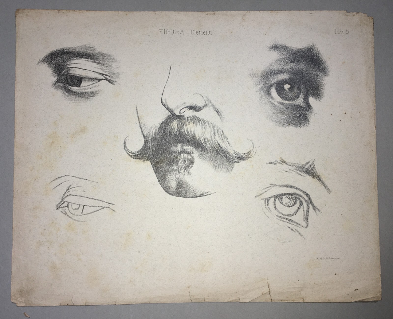 Organi Di Senso: Occhio, Vista, Naso, Odorato. Stampa Artistica Treves