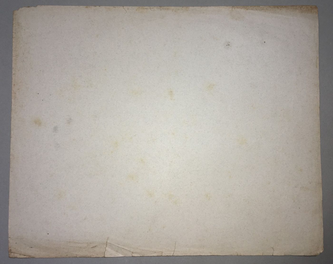Organi Di Senso: Occhio, Vista, Naso, Odorato. Stampa Artistica Treves