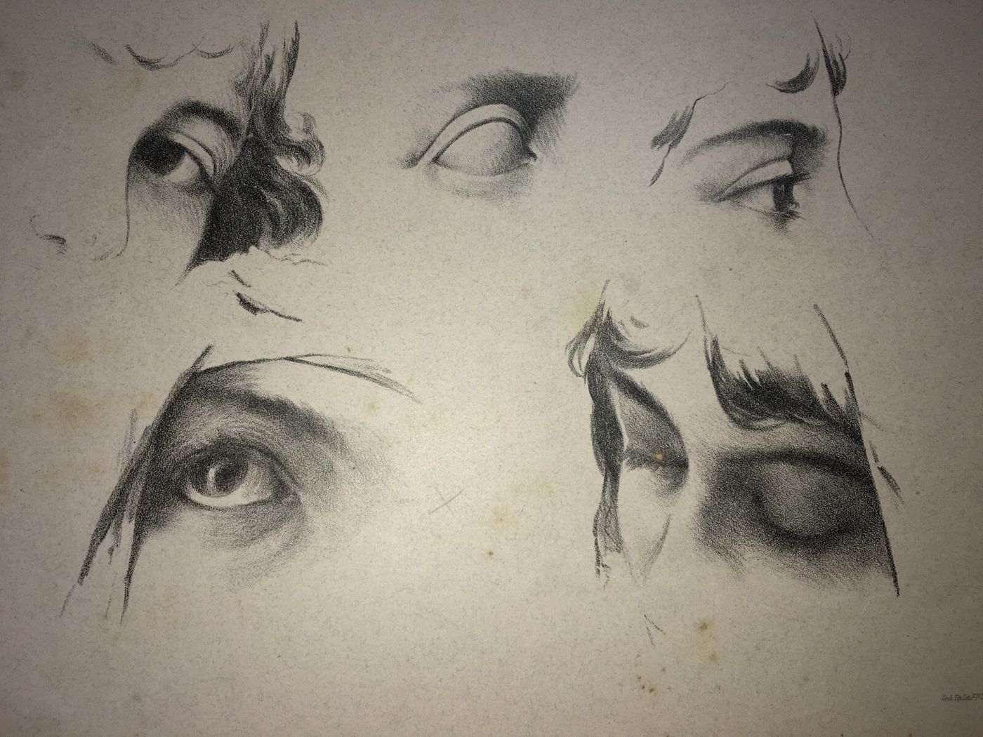 Arte: Studi Anatomici Dell'Occhio E Chiaroscuri. Stampa Antica Treves
