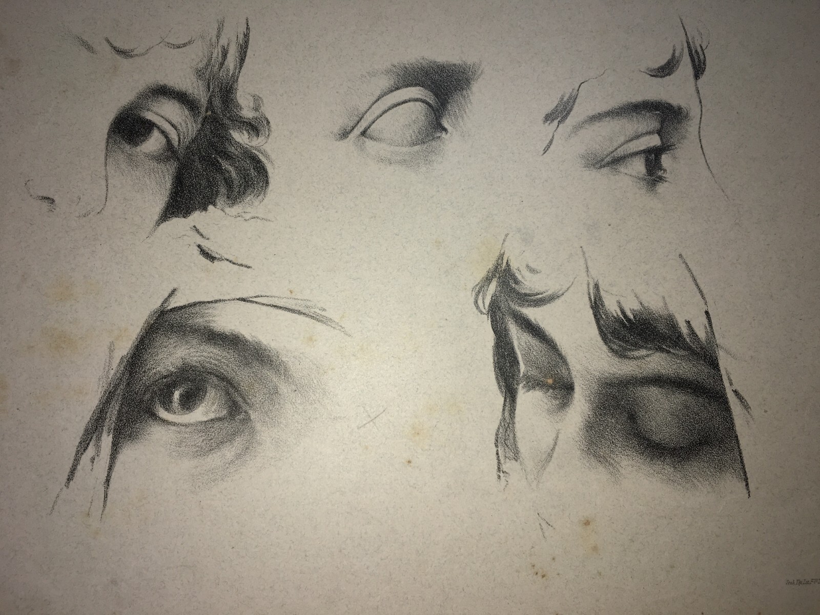 Arte: Studi Anatomici Dell'Occhio E Chiaroscuri. Stampa Antica Treves