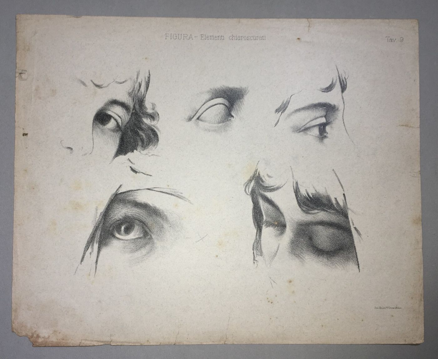 Arte: Studi Anatomici Dell'Occhio E Chiaroscuri. Stampa Antica Treves