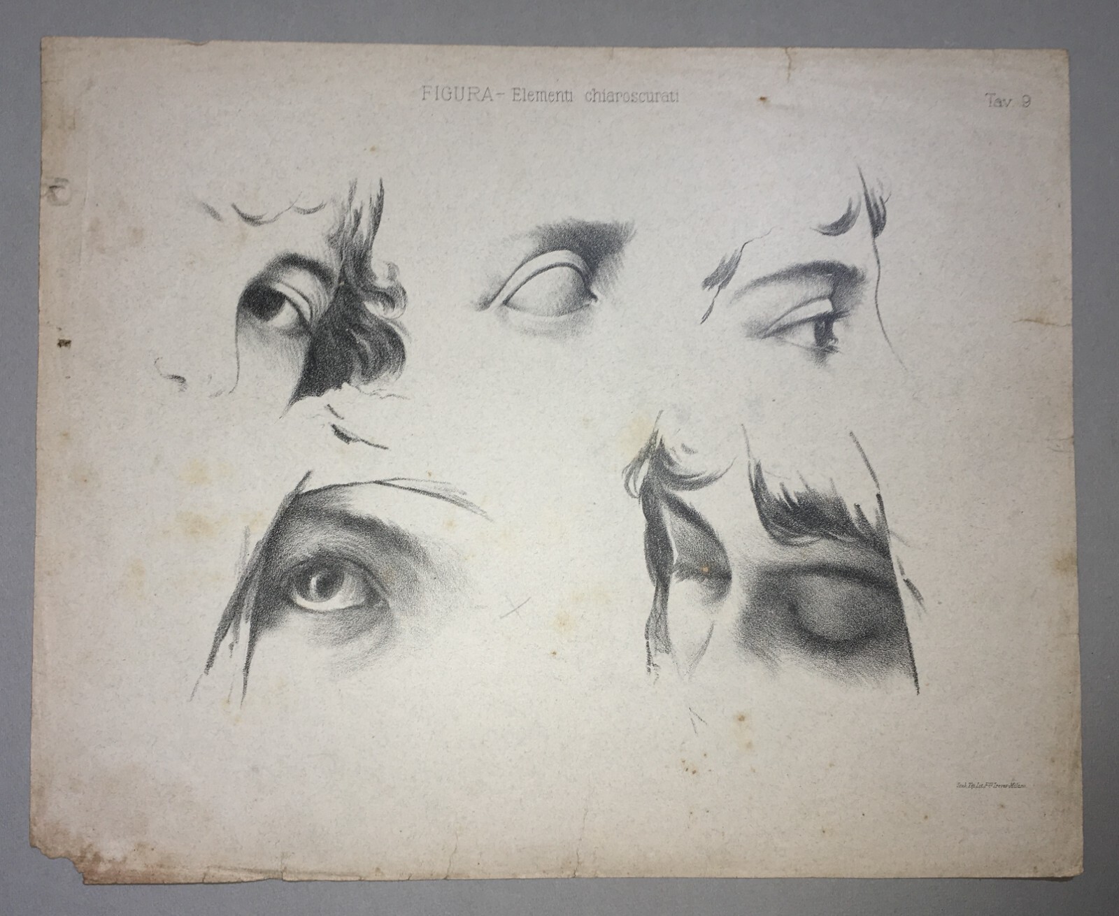 Arte: Studi Anatomici Dell'Occhio E Chiaroscuri. Stampa Antica Treves
