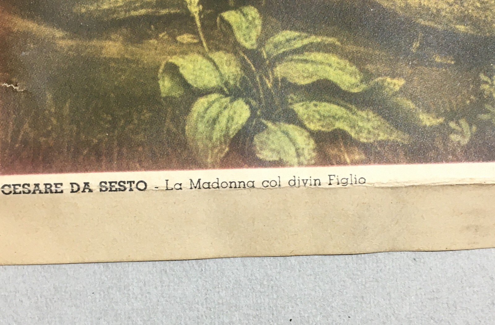 Cesare Da Sesto: La Madonna Col Divin Figlio   Stampa Pubblicitaria Maggioni 1942