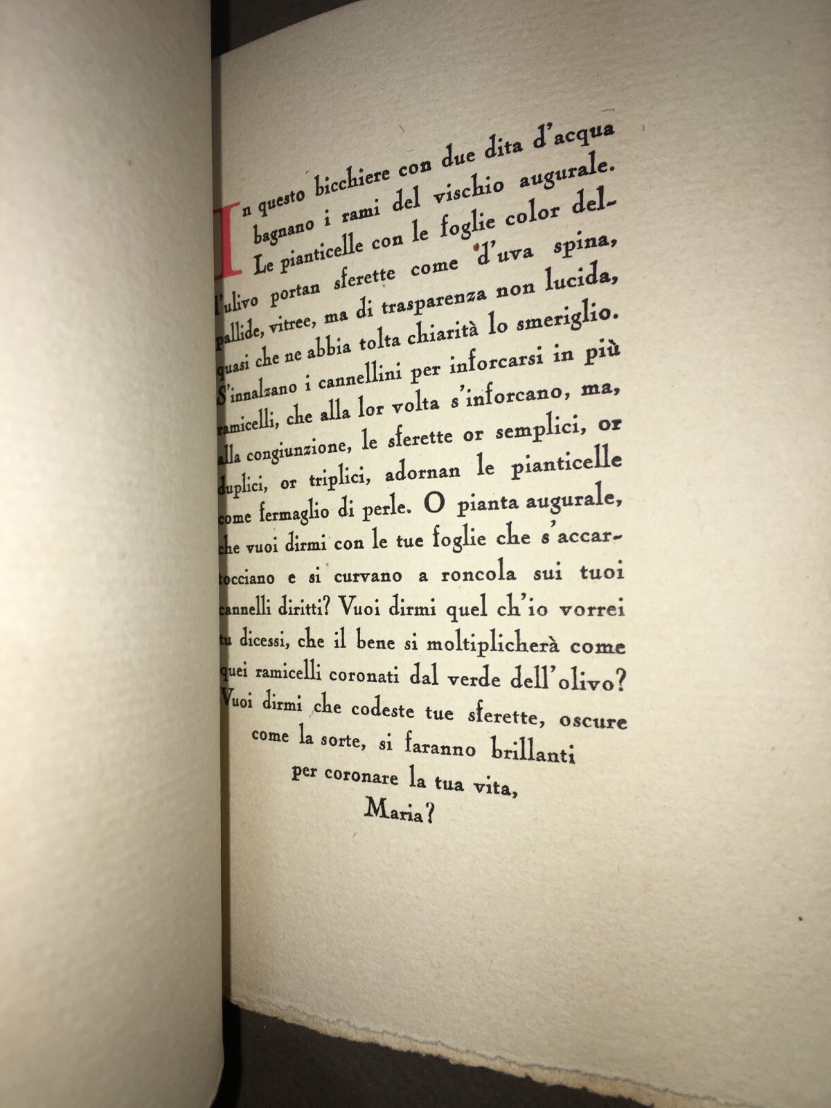 Arte Tipografica, Letteratura: Rara Edizione Originale Di Adolfo Venturi, Editore Tyszkiewicz