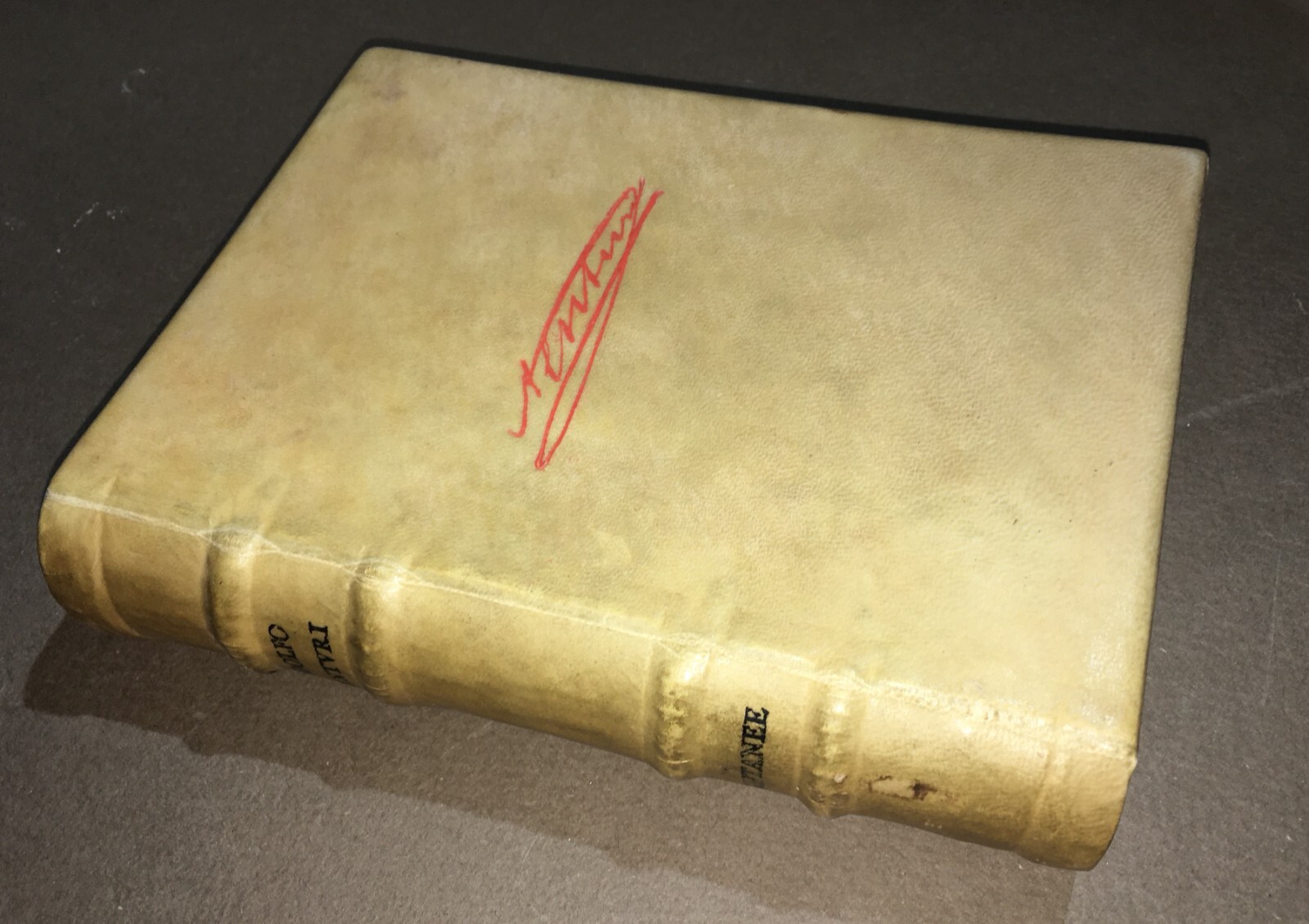 Arte Tipografica, Letteratura: Rara Edizione Originale Di Adolfo Venturi, Editore Tyszkiewicz