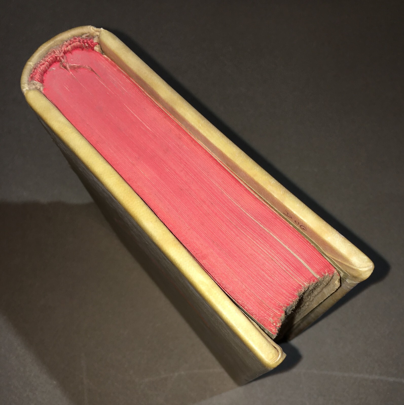 Arte Tipografica, Letteratura: Rara Edizione Originale Di Adolfo Venturi, Editore Tyszkiewicz