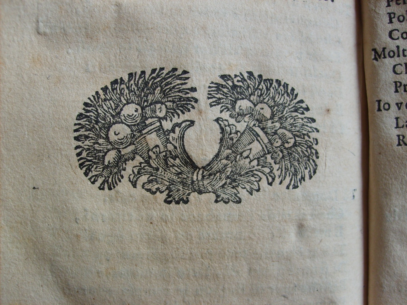 Tabacco: Rara Opera Satirica Di Gerogiro Suscaferro. Caracciolo Principe Di Torella, Spagna, 1694.