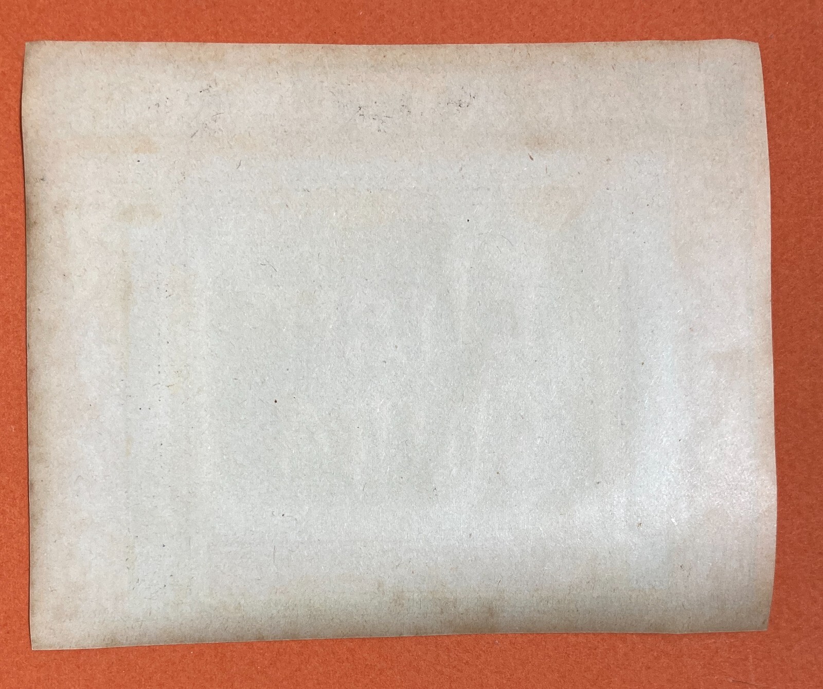 Abruzzo, Chieti, Liquori, Distilleria Barattucci, Etichetta Originale, Elisir China