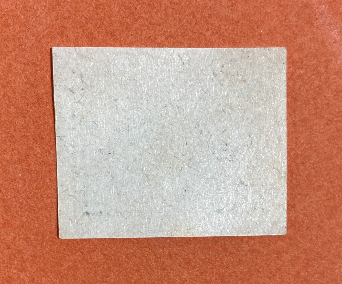 Abruzzo, Chieti, Liquori, Barattucci, Mini Etichetta, Cinghiale, Ferro China