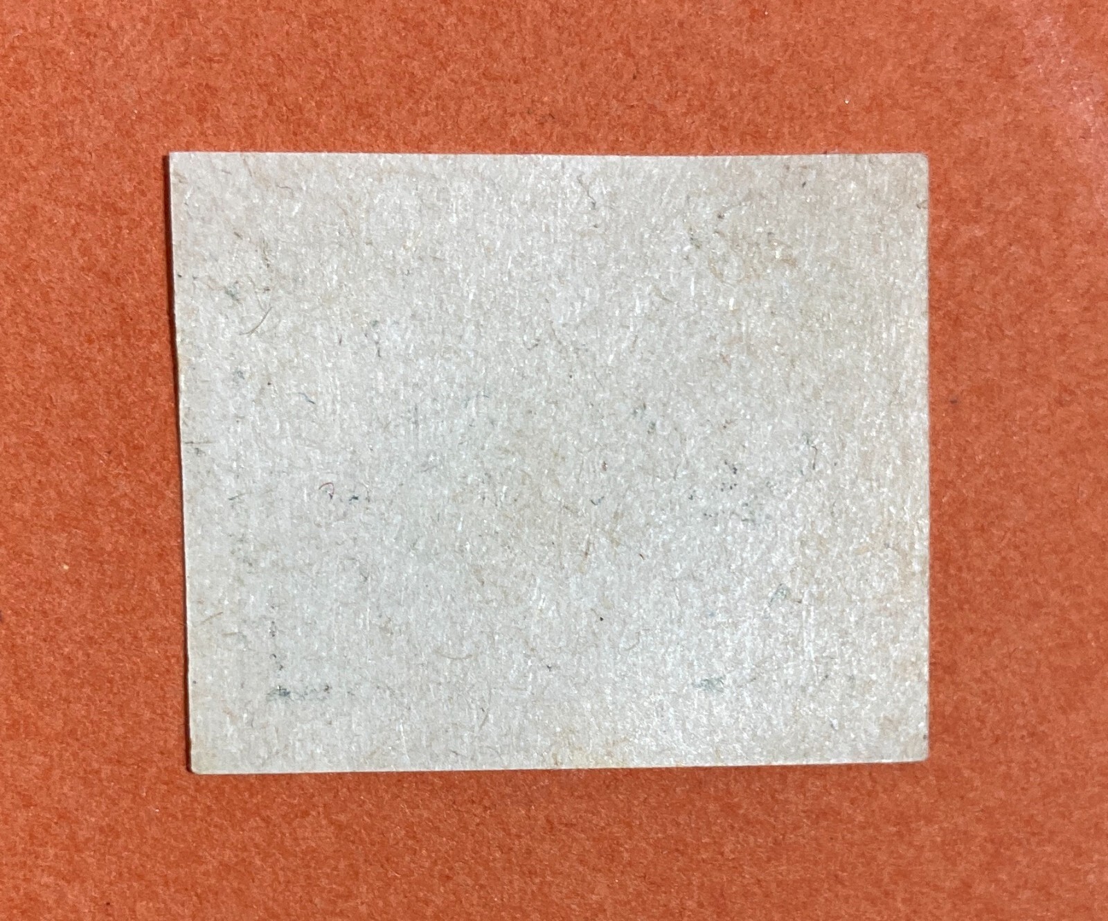 Abruzzo, Chieti, Liquori, Barattucci, Mini Etichetta, Cinghiale, Ferro China