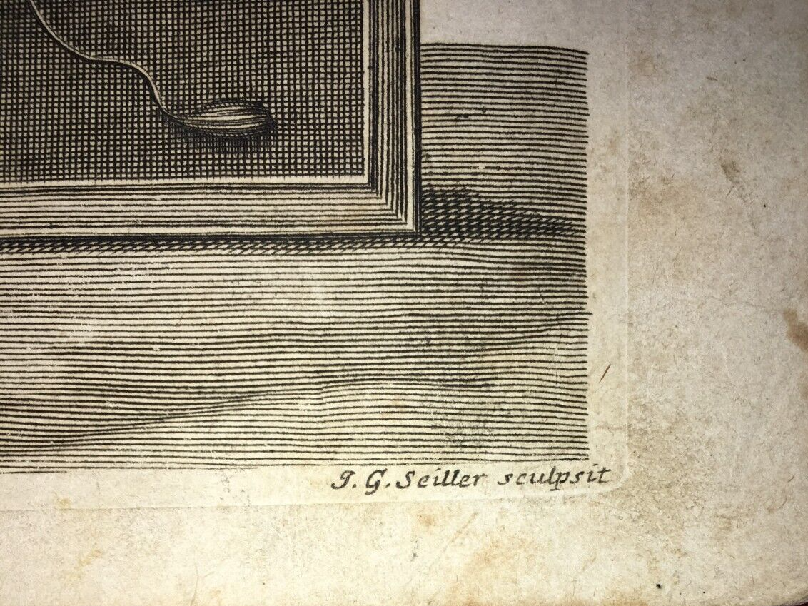 Medicina. Anatomia Umana: Muscoli. Antica Incisione Di Johann Georg Seiller, XVIII Secolo.
