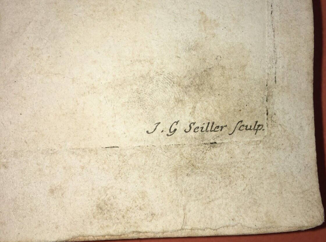 Medicina: Anatomia Umana, Muscolatura Addominale. Johann Georg Seiller, XVIII Secolo