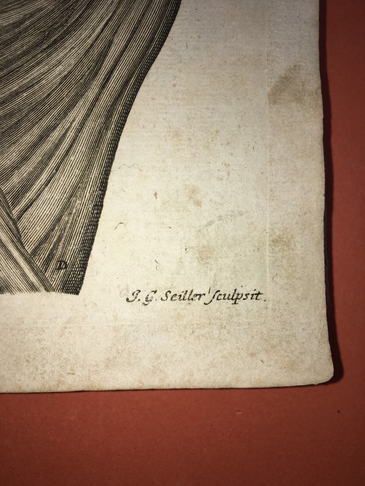 Medicina, Anatomia Umana: Muscolatura Di Testa E Collo. Artista Seiller, XVIII Secolo