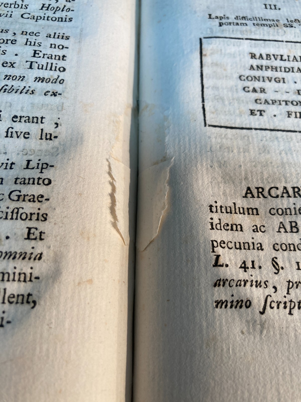 Antica Storia Locale: Michaelis Archangeli Lupuli, Iter Venusinum, 1793