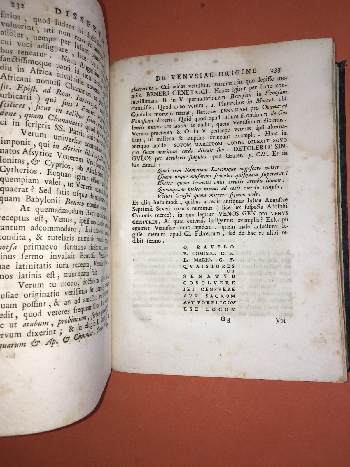 Antica Storia Locale: Michaelis Archangeli Lupuli, Iter Venusinum, 1793