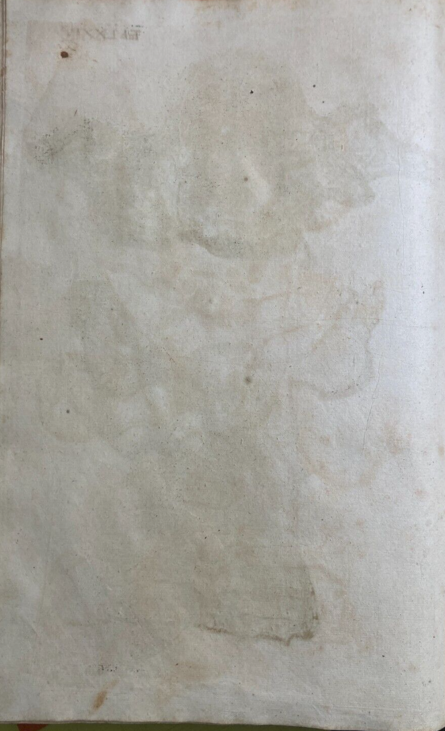 Medicina: Anatomia Umana, Angiologia E Ginecologia (Utero E Ovaie)   Incisore Hartman, XVIII Secolo