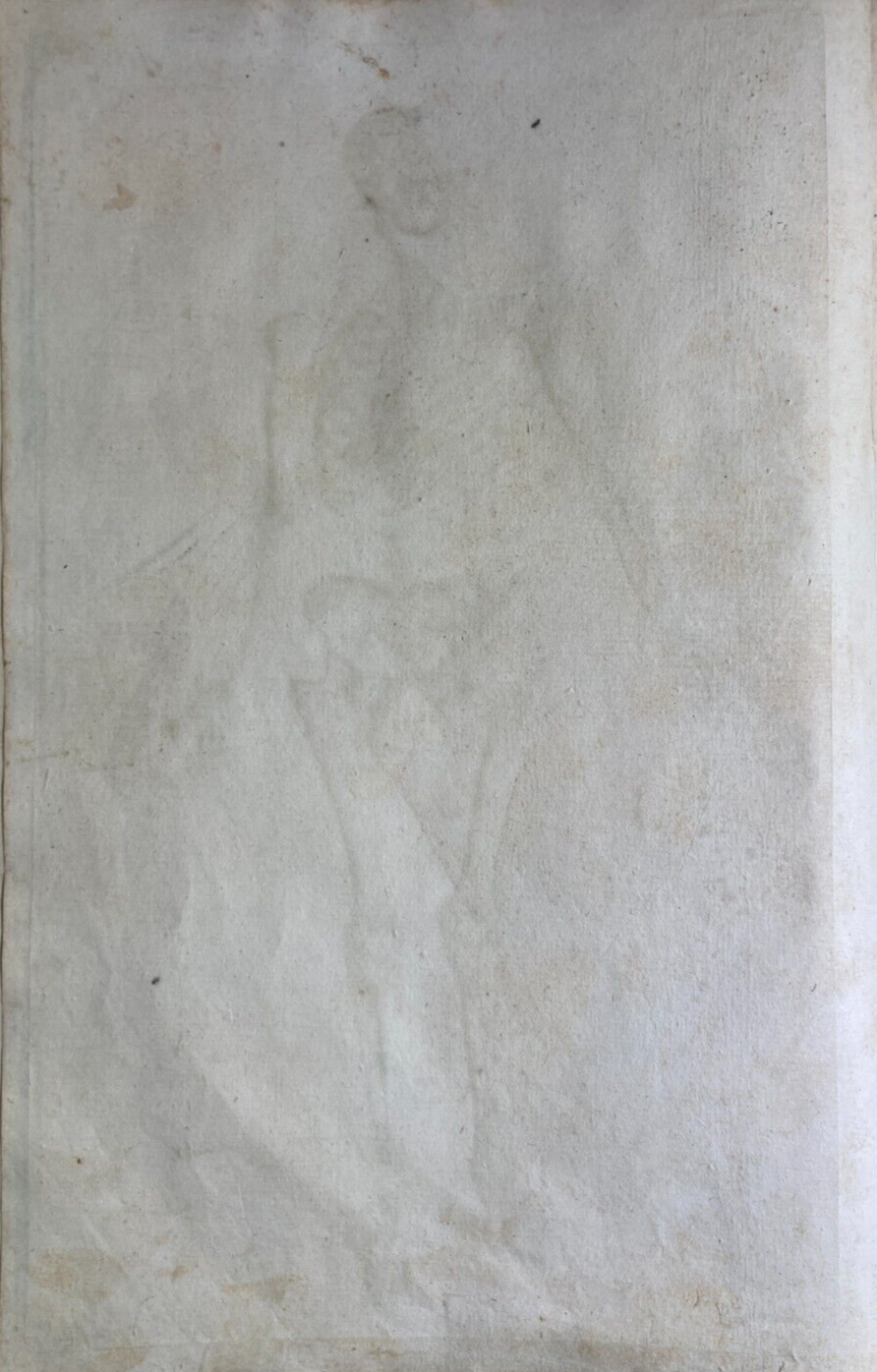 Medicina, Anatomia Umana, Osteologia, Apparato Osseo, Scheletro. Incisione Di Johann Georg Seiller