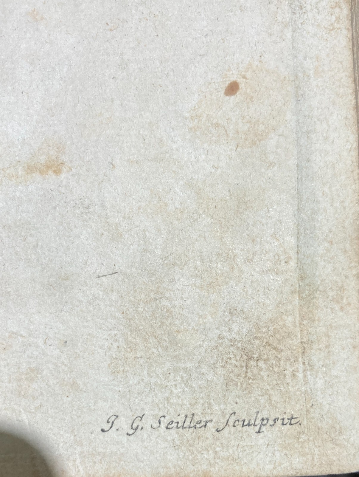 Medicina, Anatomia, Osteologia: Apparato Osseo E Scheletro Umano. Incisione Di Johann Georg Seiller.