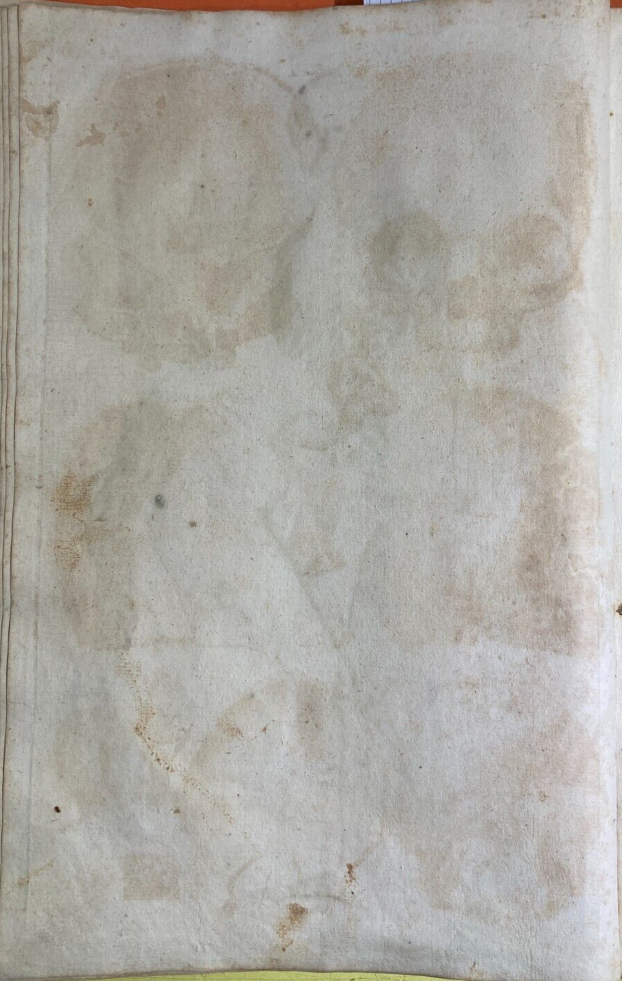 Medicina, Anatomia, Osteologia: Apparato Osseo E Scheletro Umano. Incisione Di Johann Georg Seiller.
